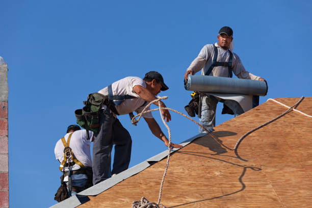 Best Roof Maintenance Services  in Ellis, KS