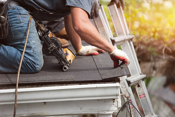 Best Metal Roofing Contractor  in Ellis, KS